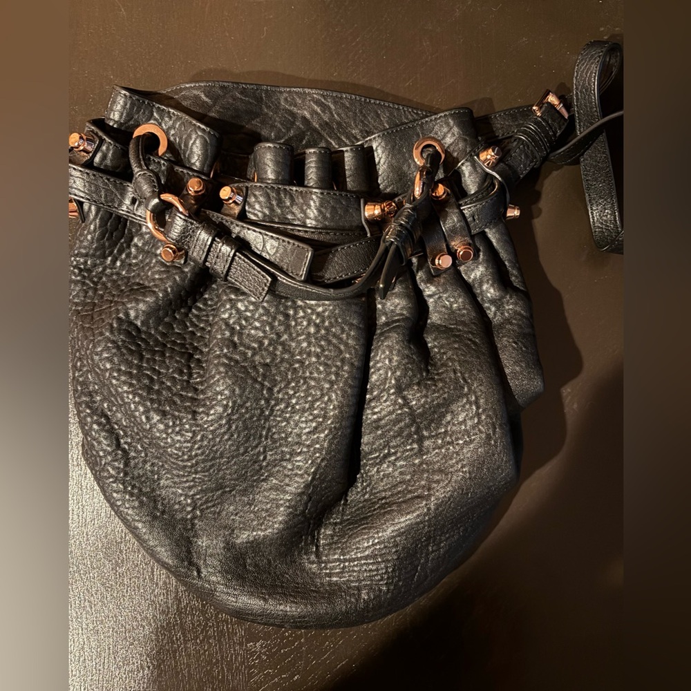 Alexander Diego Bucket Bag